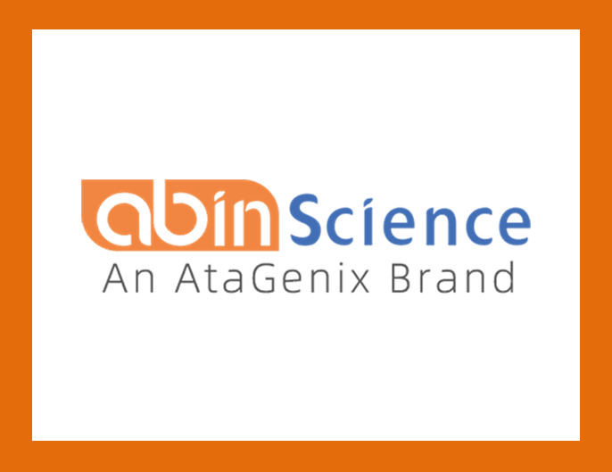 [Abinscience] Hantavirus Research 제품 리스트