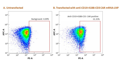 [ProMab] Anti-CD19 CAR mRNA-LNP