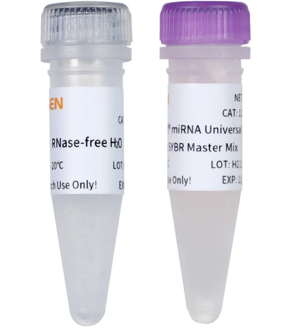 [YEASEN] Hieff™ miRNA Universal qPCR Master Mix (SYBR)