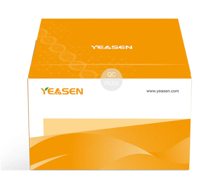 [YEASEN] Hifair™ SmartApt Ⅰ One Step RT-qPCR Probe Master Mix (One-tube, 3G)