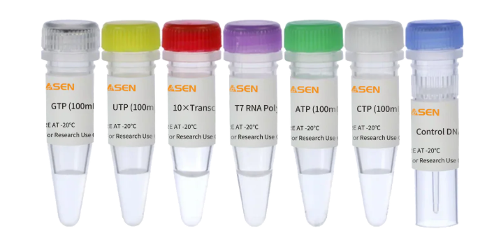[YEASEN] T7 High Yield RNA Synthesis Kit for Co-transcription (low dsRNA, with LZCap AG)