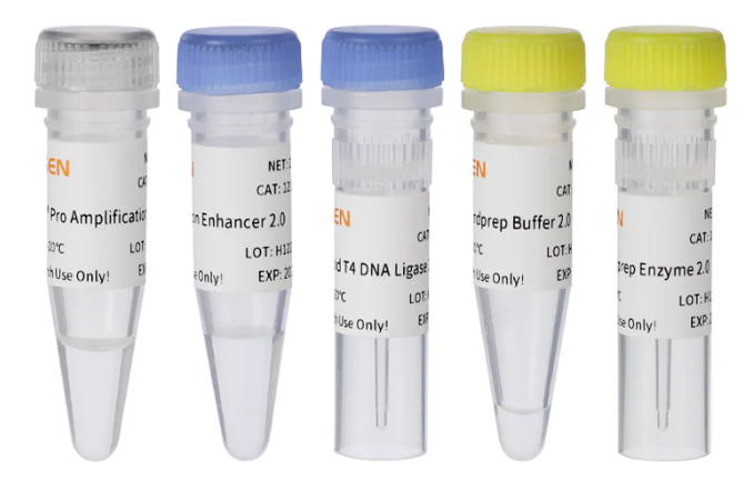 [YEASEN] Hieff™ DNA Library Prep Kit for ONT