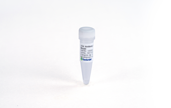 [Genscript] Anti-AAV2 (intact particle) Antibody (2C4) [Biotin], mAb, Mouse