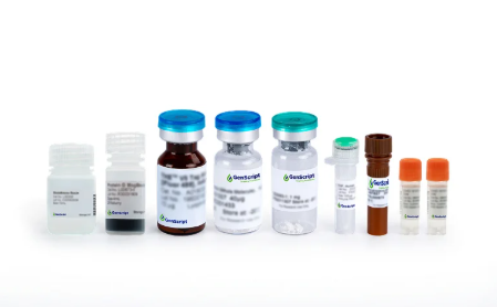 [Genscript] DXd Antibody (39F4) [HRP], mAb, Mouse