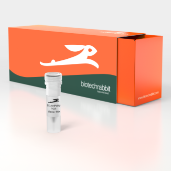 [Biotechrabbit] 2X AmPelify™ PCR Master Mix