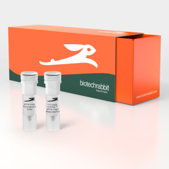 [Biotechrabbit] 4X LYO-ready CAPITAL™ qPCR Probe Mix Plus