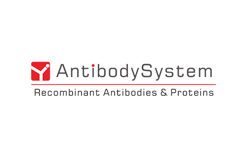[Antibodysystem] Golimumab ELISA Kit