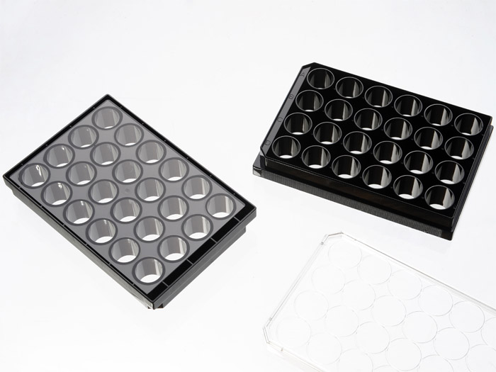 [Cellvis] 24 Well Plate with #1.5 glass-like polymer coverslip bottom, tissue culture treated for better cell attachment than cover glass