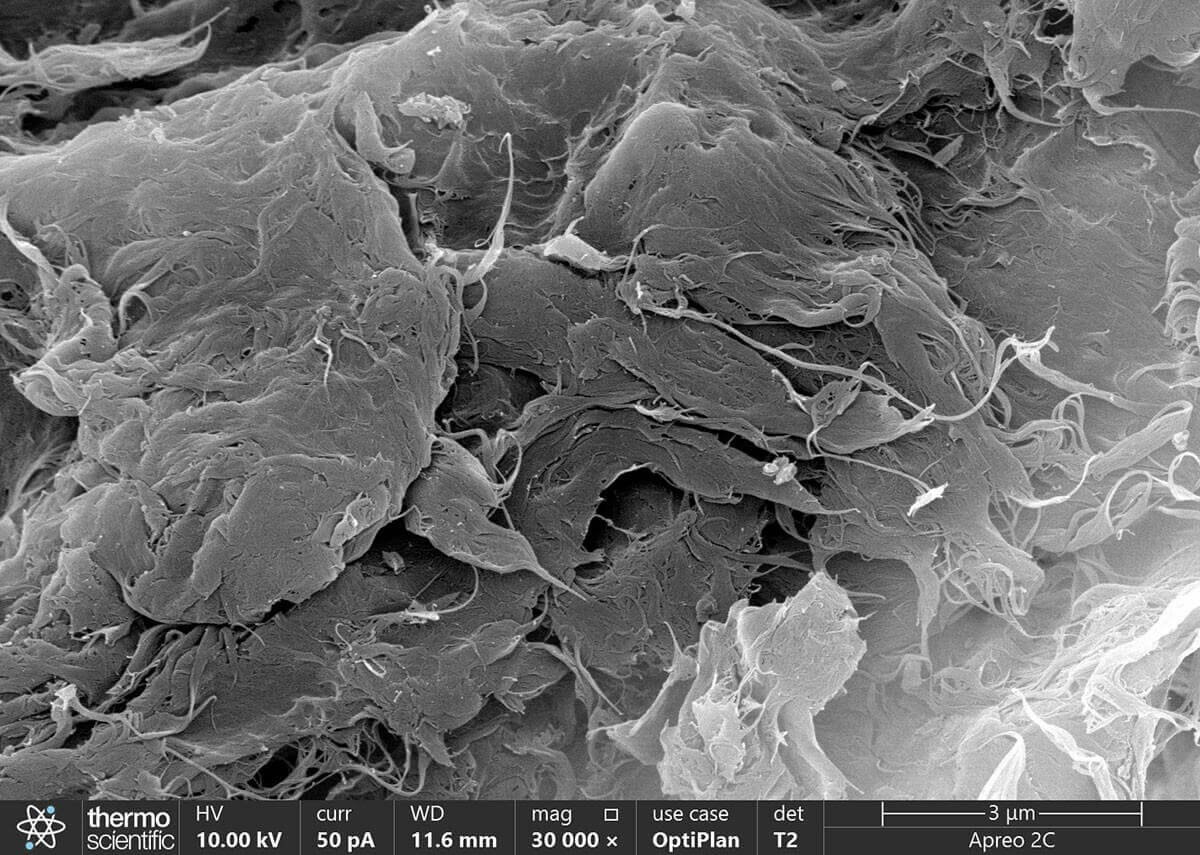[CD Bioparticles] Single-walled Carbon Nanotubes, Double Opening, 95%