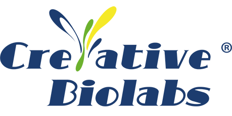 [Creative Biolabs] Human Anti-dsDNA Recombinant Antibody (clone KSUG)