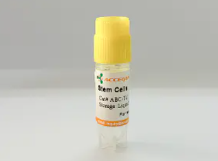 [Accegen] HighQC™ Human Leukemia Cancer Stem Cell