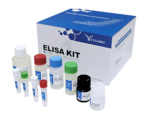 [Cusabio] Mouse tumor necrosis factor α (TNF-α) antibody ELISA Kit