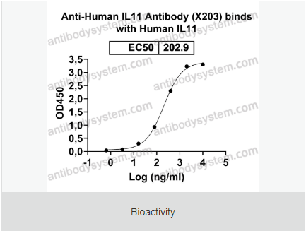 [Antibodysystem] Research Grade Anti-Human IL11 Antibody (X203)