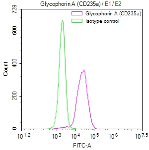 [Cusabio] GYPA Recombinant Monoclonal Antibody