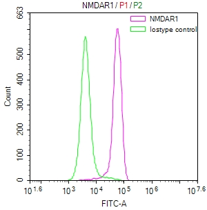 [Cusabio] GRIN1 Recombinant Monoclonal Antibody