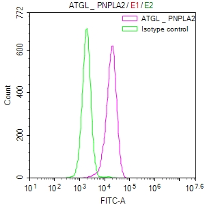 [Cusabio] PNPLA2 Recombinant Monoclonal Antibody