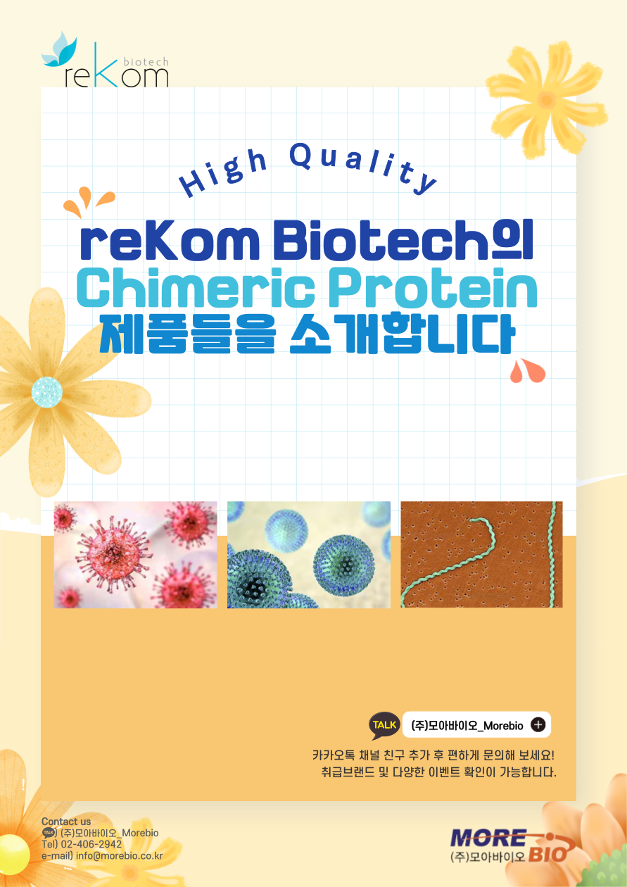 [제품 리스트 소개] reKom Biotech의 고퀄리티 Chimeric Protein / Antibody 제품들을 소개합니다!