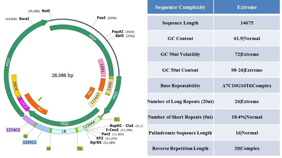 설명: https://synbio-tech.com/wladmin/kindeditor/attached/image/20240806/20240806112429_54627.png