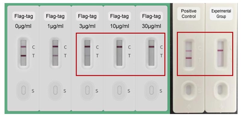 설명: https://synbio-tech.com/wladmin/kindeditor/attached/image/20241112/20241112110119_43128.png