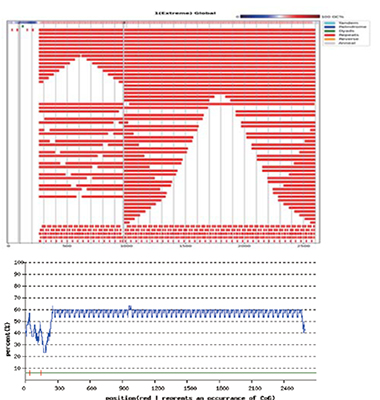 설명: https://synbio-tech.com/wladmin/kindeditor/attached/image/20241213/20241213152343_47189.jpg