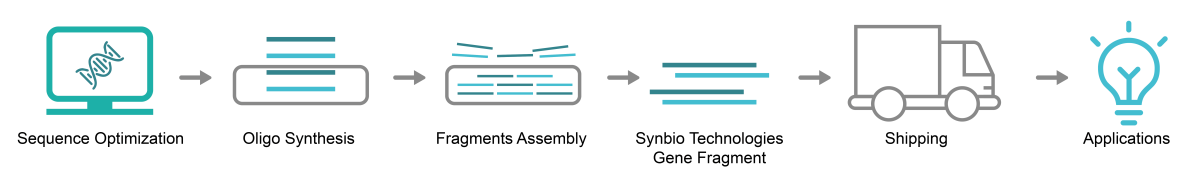 설명: https://synbio-tech.com/wladmin/kindeditor/attached/image/20240730/20240730142401_83553.png