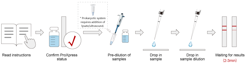 설명: https://synbio-tech.com/wladmin/kindeditor/attached/image/20240805/20240805112411_93179.png