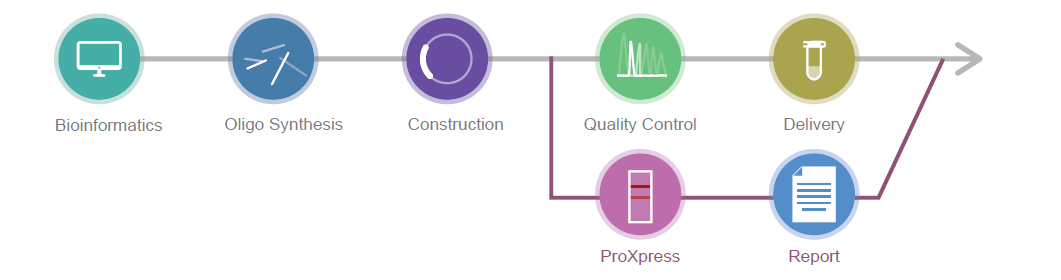 설명: https://synbio-tech.com/wladmin/kindeditor/attached/image/20240730/20240730162312_45989.png