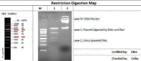 설명: https://synbio-tech.com/wladmin/kindeditor/attached/image/20240730/20240730153413_24400.png