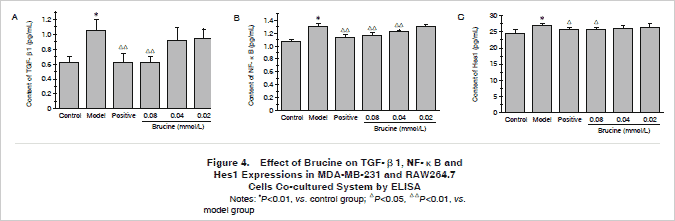 Effect of Brucine on TGF-β1, NF-κB and Hes1 Expressions in MDA-MB-231 and RAW264.7 Cells Co-cultured System by ELISA