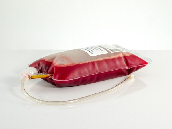 Horse Blood Defibrinated