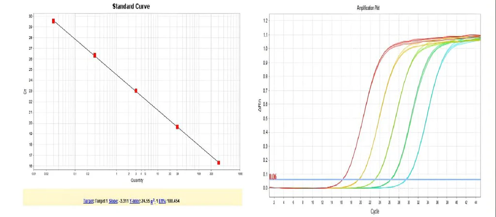 Figure 1. Standard curve (left) and amplification curve plot (right) for HEK293 DNA (3G).