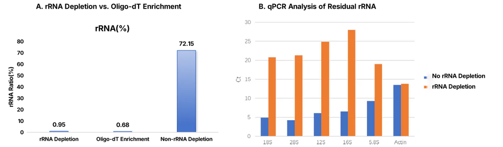 Figure 2. Comparison of rRNA Removal Efficiency by Sequencing and qPCR