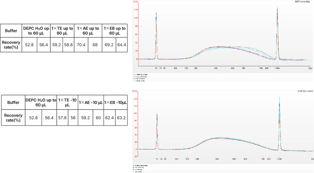 Figure 3. Fragmentation performance of 12972ES in different reaction buffers(H2O (pH 7.0), 1×TE (pH 7.5–8.0), 1×AE (pH 8.3), and 1×EB (pH 8.5)).