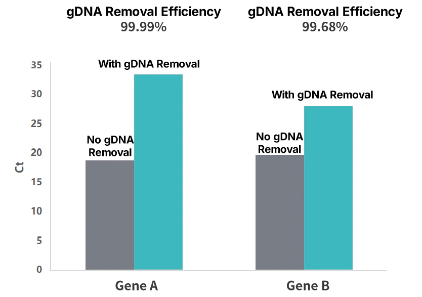 Figure 4. gDNA Digestion/Removal Capability Comparison