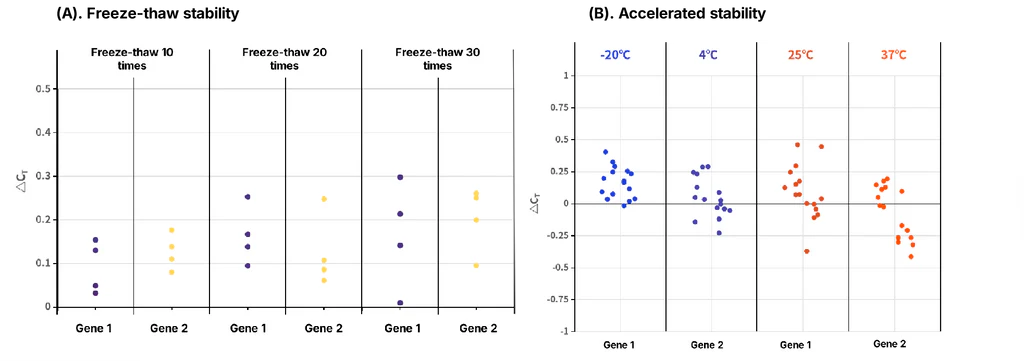 Figure 3. Stability Test