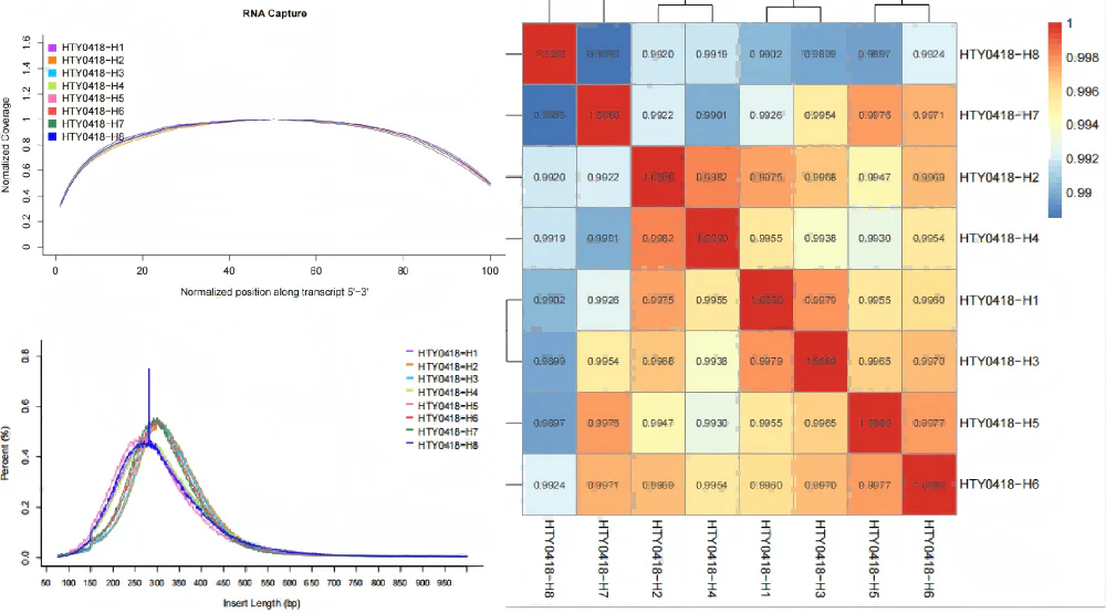 Figure 5. Performance of transcriptome sequencing using EvoMax RNA Library Prep Kit