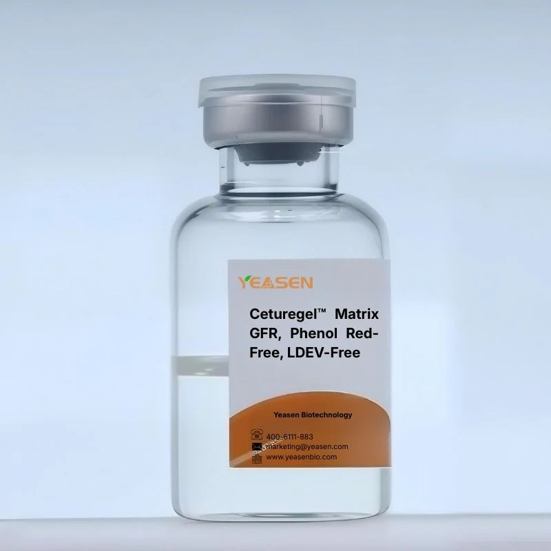 Ceturegel™ Matrix for Organoid culture, Phenol Red-Free, LDEV-Free _ 40192ES