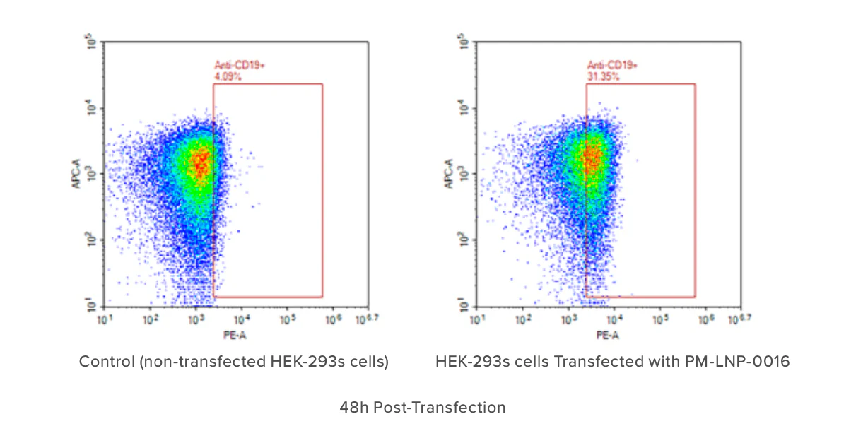 Figure 1: CD19 CAR expression in HEK293S cells transfected by PM-LNP-0016, checked by FACS 48 hours post transfection. Cells were stained by 1Â° ab: Jackson ImmunoResearch Biotin-SP (long spacer) AffiniPure F(abâ€™)2 Fragment Goat Anti-Mouse IgG, F(abâ€™)2 fragment specific; 2Â° ab: Biolegend PE-Streptavidin. Transfected cells were gated by non-transfected HEK 293S cells grown under identical conditions. Cell morphology may be affected after transfection.